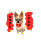Doggy Dobby（個別スタンプ：36）