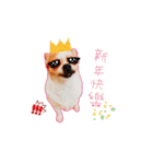 Doggy Dobby（個別スタンプ：37）