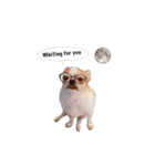 Doggy Dobby（個別スタンプ：39）