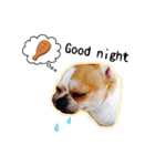 Doggy Dobby（個別スタンプ：40）