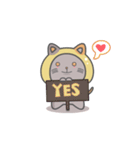 Kiiro Meow（個別スタンプ：3）