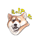 ワイルドアニマル：水彩的動物描写（個別スタンプ：4）