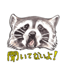 ワイルドアニマル：水彩的動物描写（個別スタンプ：19）