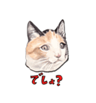 ワイルドアニマル：水彩的動物描写（個別スタンプ：27）
