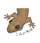 Sexy Lizard (J)（個別スタンプ：1）