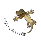 Sexy Lizard (J)（個別スタンプ：2）