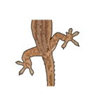 Sexy Lizard (J)（個別スタンプ：7）