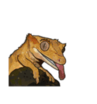 Sexy Lizard (J)（個別スタンプ：13）