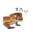 Sexy Lizard (J)（個別スタンプ：14）