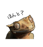 Sexy Lizard (J)（個別スタンプ：15）