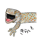 Sexy Lizard (J)（個別スタンプ：16）