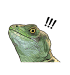 Sexy Lizard (J)（個別スタンプ：18）