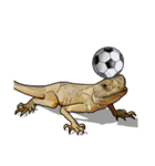 Sexy Lizard (J)（個別スタンプ：20）