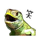 Sexy Lizard (J)（個別スタンプ：21）