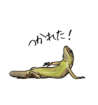 Sexy Lizard (J)（個別スタンプ：22）