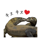 Sexy Lizard (J)（個別スタンプ：35）