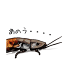 Amazing Cockroach (J)（個別スタンプ：2）