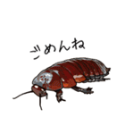 Amazing Cockroach (J)（個別スタンプ：3）
