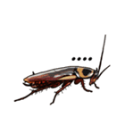 Amazing Cockroach (J)（個別スタンプ：4）