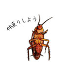 Amazing Cockroach (J)（個別スタンプ：5）
