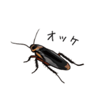 Amazing Cockroach (J)（個別スタンプ：7）