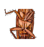 Amazing Cockroach (J)（個別スタンプ：10）