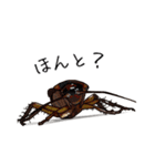 Amazing Cockroach (J)（個別スタンプ：12）