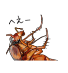 Amazing Cockroach (J)（個別スタンプ：14）