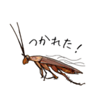 Amazing Cockroach (J)（個別スタンプ：15）