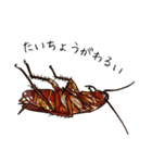 Amazing Cockroach (J)（個別スタンプ：16）