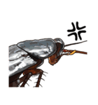 Amazing Cockroach (J)（個別スタンプ：17）