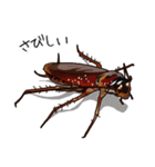 Amazing Cockroach (J)（個別スタンプ：18）