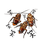 Amazing Cockroach (J)（個別スタンプ：20）