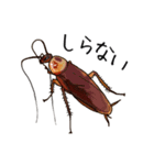 Amazing Cockroach (J)（個別スタンプ：21）