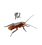 Amazing Cockroach (J)（個別スタンプ：23）
