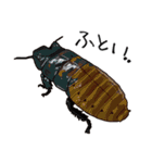 Amazing Cockroach (J)（個別スタンプ：24）