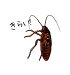 Amazing Cockroach (J)（個別スタンプ：25）