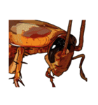 Amazing Cockroach (J)（個別スタンプ：26）