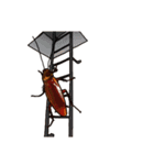 Amazing Cockroach (J)（個別スタンプ：38）