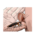 Amazing Cockroach (J)（個別スタンプ：40）