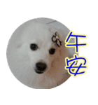 I'm Ma Ji（個別スタンプ：2）