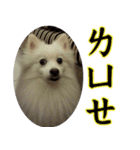 I'm Ma Ji（個別スタンプ：5）