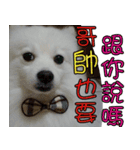 I'm Ma Ji（個別スタンプ：12）