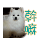 I'm Ma Ji（個別スタンプ：14）