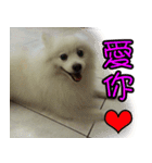I'm Ma Ji（個別スタンプ：15）