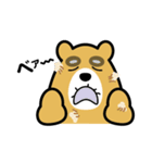 ダディベア（個別スタンプ：37）