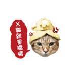 Moachi's World（個別スタンプ：2）