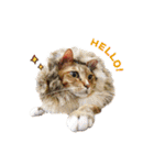 Moachi's World（個別スタンプ：12）