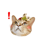 Moachi's World（個別スタンプ：13）