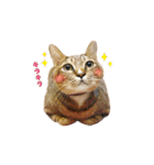 Moachi's World（個別スタンプ：18）